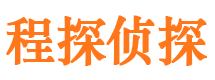 突泉市调查公司